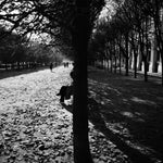 Autumn silence