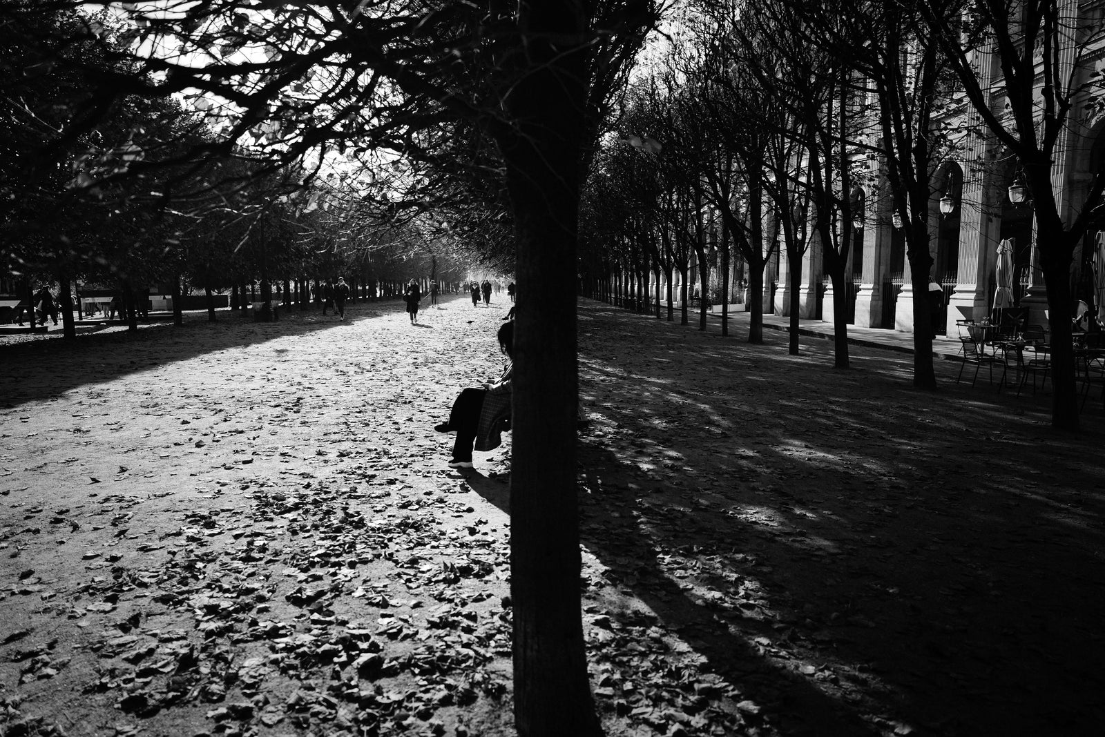 Silence d’automne