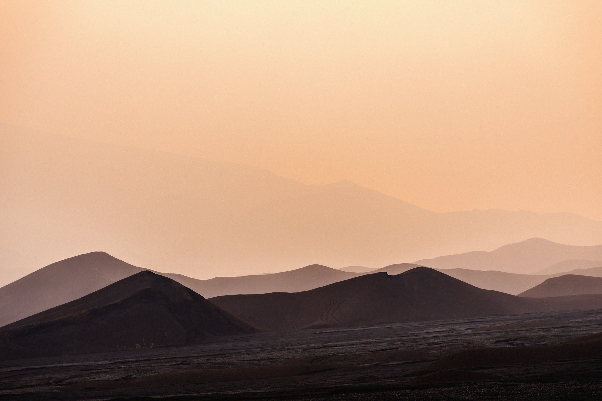 In the Footsteps of the Marum #2