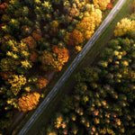 The Autumn Road - Photographie par Salmon