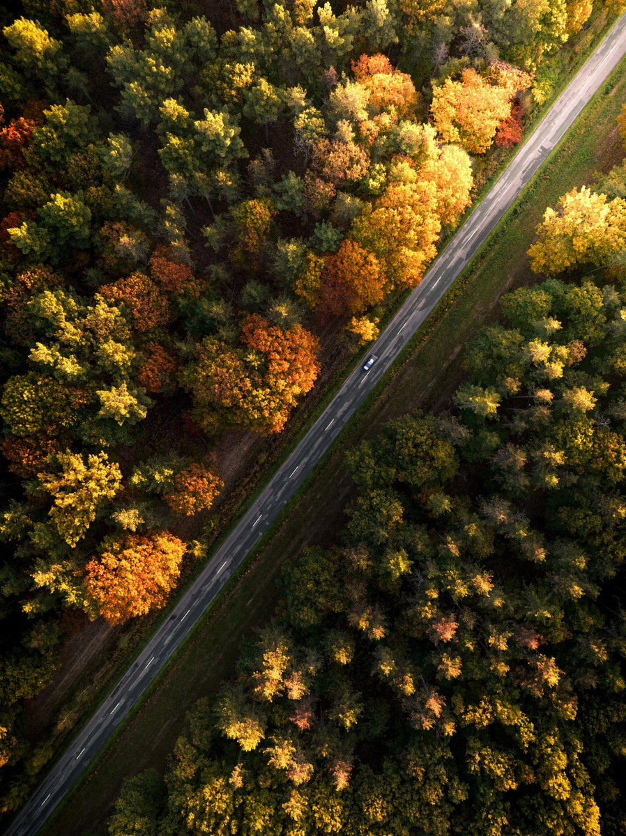 The Autumn Road - Photographie par Salmon