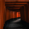 The thousand Torii Shrine - Photographie par Salmon