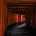 The thousand Torii Shrine - Photographie par Salmon