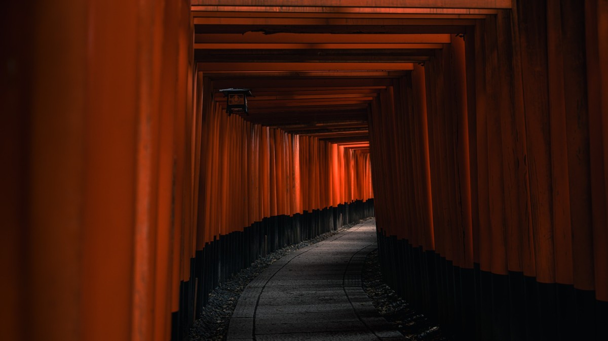 The thousand Torii Shrine - Photographie par Salmon