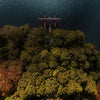 The torii on the Lake - Photographie par Salmon