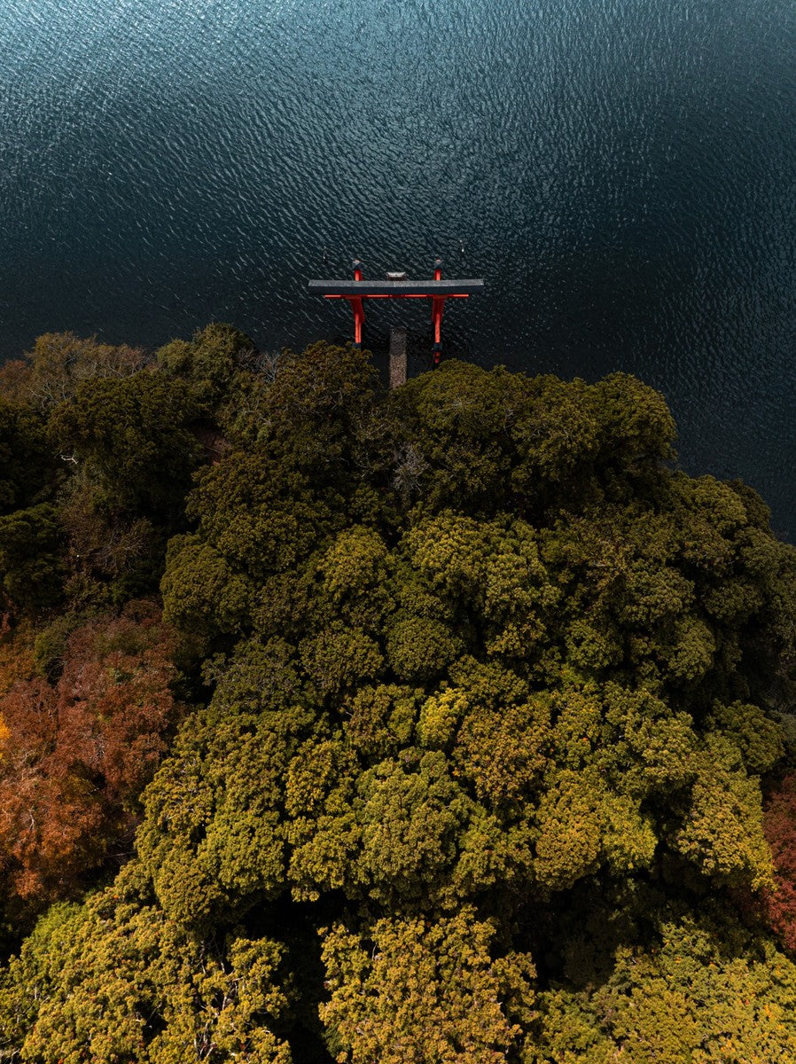 The torii on the Lake - Photographie par Salmon