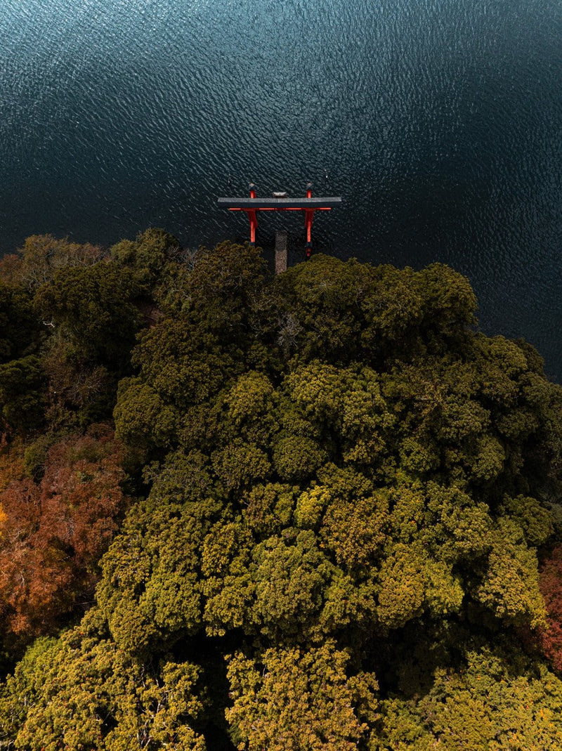 The torii on the Lake - Photographie par Salmon
