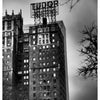 Tudor - Photographie par Delacote