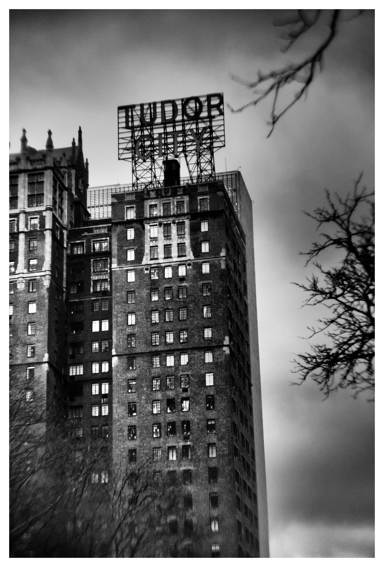 Tudor - Photographie par Delacote