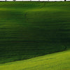 Vert - Photographie par Castes