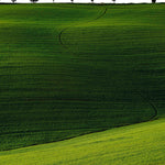 Vert - Photographie par Castes