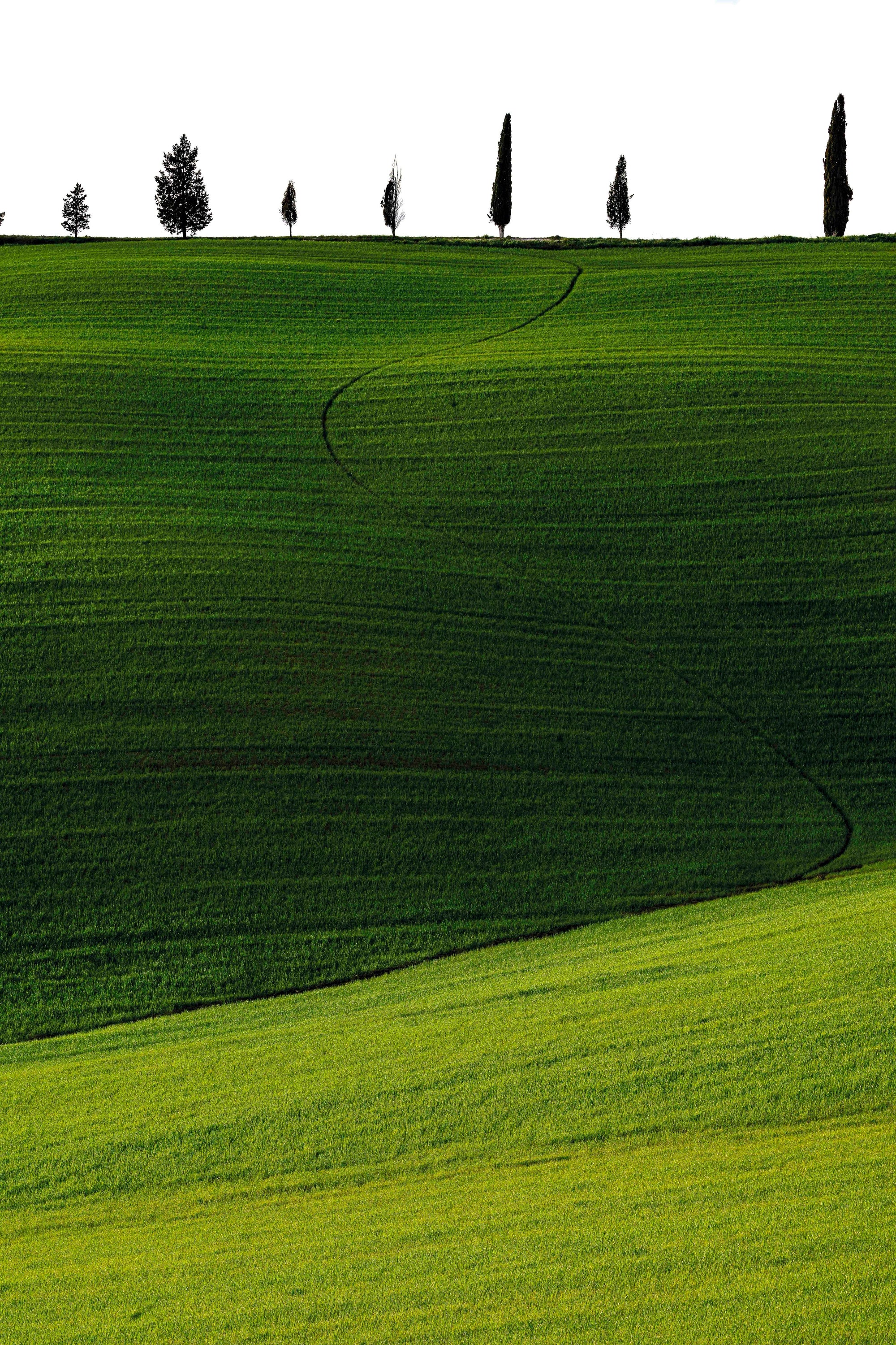 Vert - Photographie par Castes