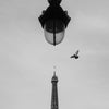 Flight over Eiffel