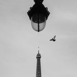 Flight over Eiffel