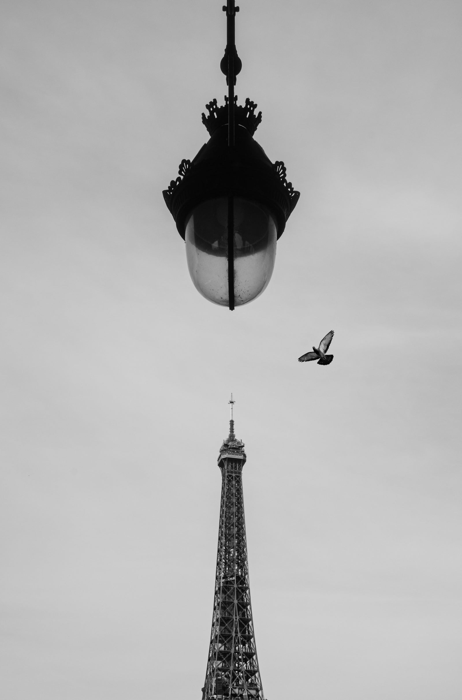 Vol au-dessus d’Eiffel