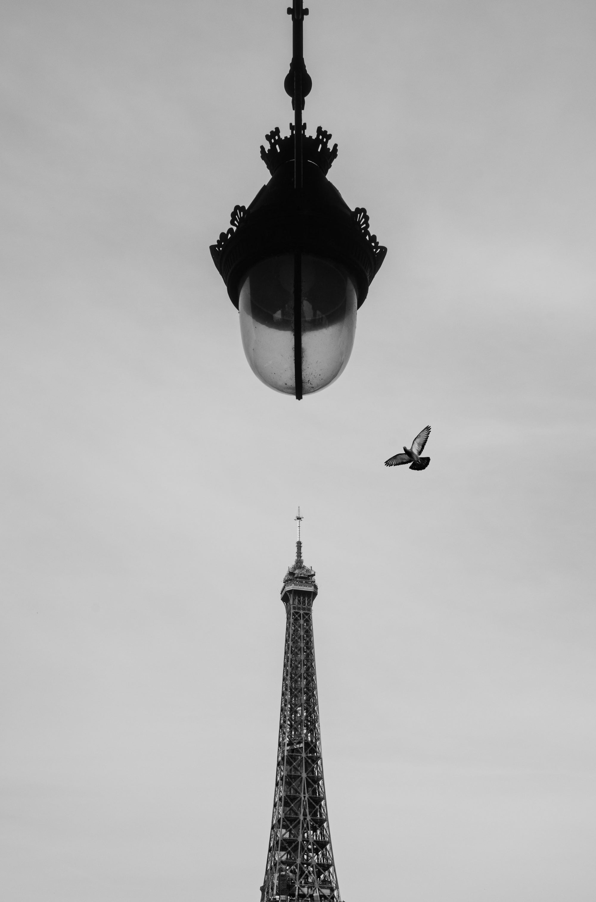Flight over Eiffel