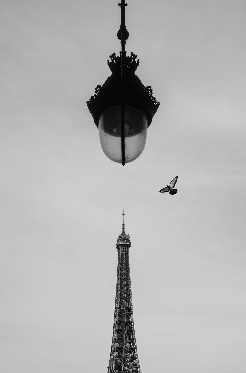 Flight over Eiffel