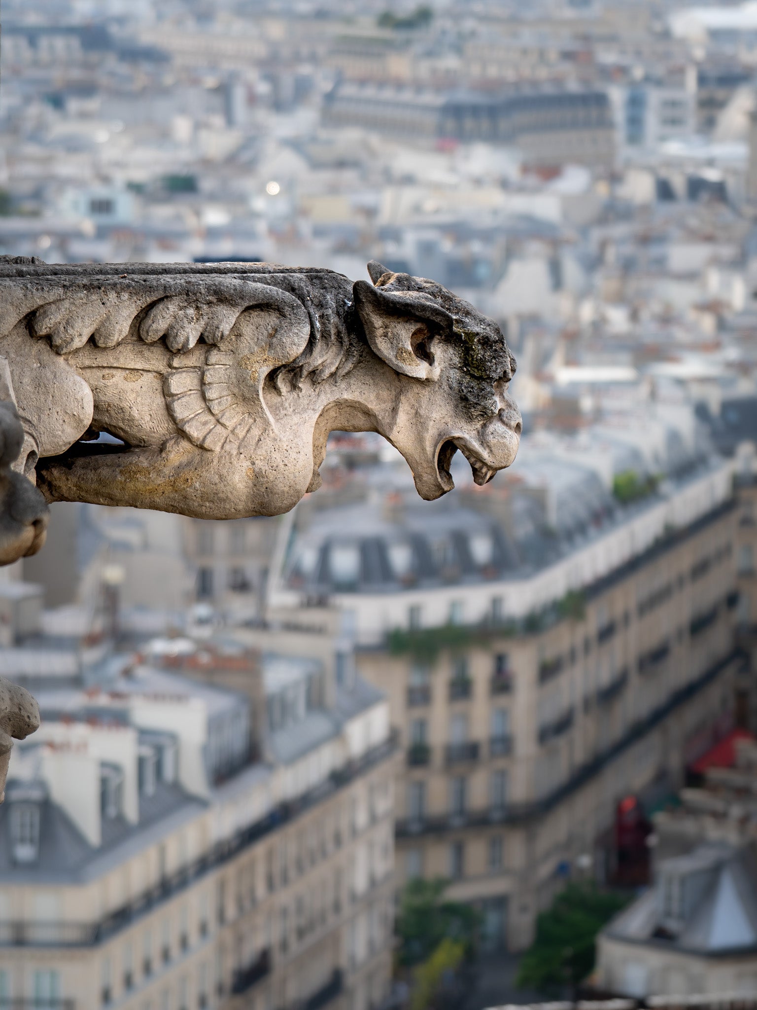 Watching over Paris - Photographie par Kretschmer