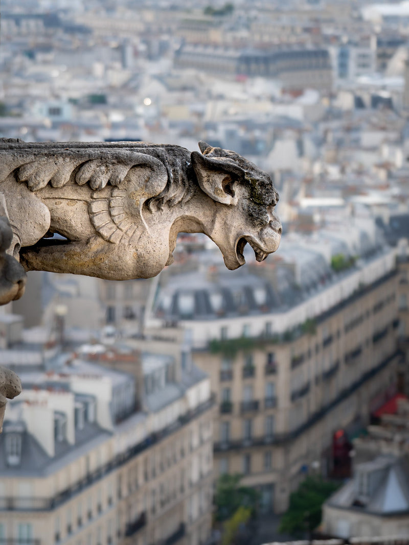 Watching over Paris - Photographie par Kretschmer