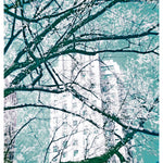 White - Photographie par Delacote